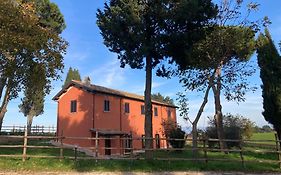 Azienda Agricola il Borgo di Sant'Elia